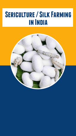 What is Sericulture? Its Process, Importance & Benefits