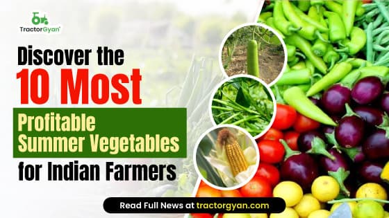 Top 10 Profitable Summer Vegetables in India image