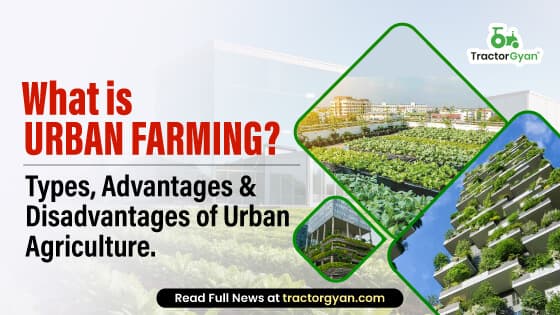 What is Urban farming : Importance, Types, Advantages & Disadvantages of Urban Agriculture