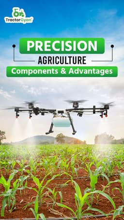 Precision Agriculture: Components & Advantages