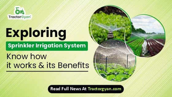 What is Sprinkler Irrigation System? Know how does it works and its benefits image