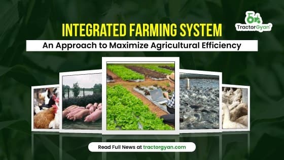 Integrated Farming System: An Approach to Maximize Agricultural Efficiency Integrated Farming System: An Approach to Maximize Agricultural Efficiency image