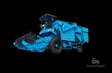 Punni Grain Cruiser Plus