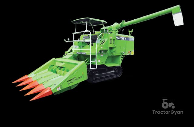 Preet 949T TAF (MAIZE) image