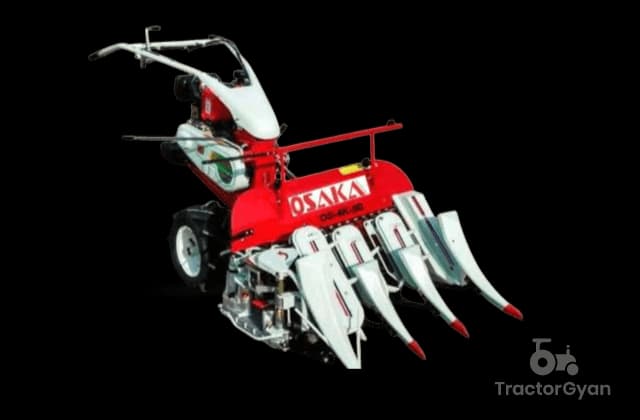 Osaka International 4K - 90 (1)