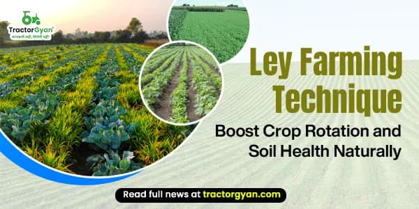 Ley Farming Technique: Boost Crop Rotation and Soil Health Naturally Ley Farming Technique: Boost Crop Rotation and Soil Health Naturally image