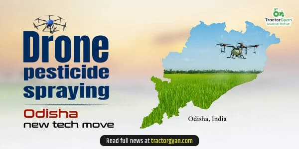 How drone pesticide spraying is giving Odisha a technological shift in agriculture?