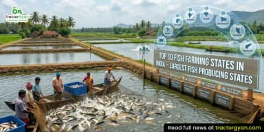 Top 10 Fish Farming States in India:  Largest Fish-Producing States
