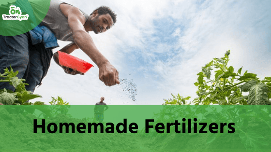 7 Shocking Homemade Fertilizers You Never Knew Could Increase Your Farm Productivity 7 Shocking Homemade Fertilizers You Never Knew Could Increase Your Farm Productivity image