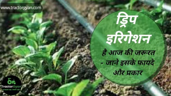 ड्रिप इरिगेशन है आज की जरूरत - जाने इसके फायदे और प्रकार image
