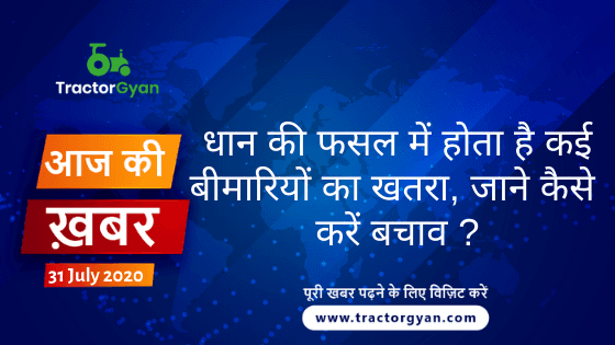 Agriculture News । आज की खेती की खबर 31/07/2020 Agriculture News । आज की खेती की खबर 31/07/2020 image