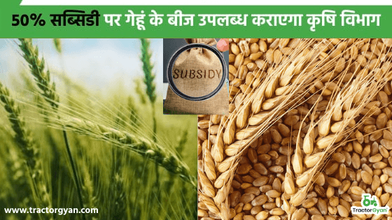 इस राज्य के किसान बाज़ार से ना खरीदें महंगे बीज, 50% सब्सिडी पर गेहूं के बीज उपलब्ध कराएगा कृषि विभाग। image