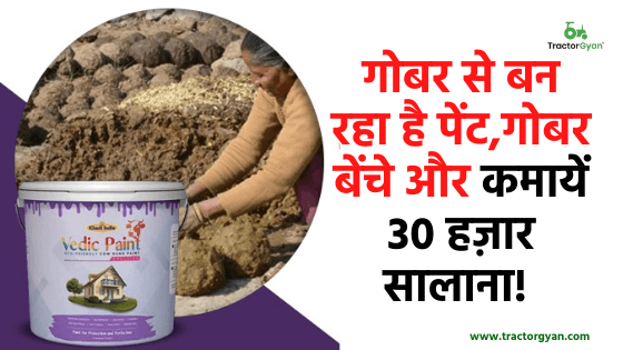 गोबर से बना पेंट! अच्छे-अच्छे ऑयल पेंट और डिस्टेंपर से भी बताया जा रहा है बेहतर! गोबर से बना पेंट! अच्छे-अच्छे ऑयल पेंट और डिस्टेंपर से भी बताया जा रहा है बेहतर! image