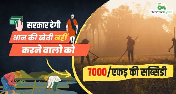 Meri fasal mera byora पोर्टल: सरकार देगी धान की खेती नहीं करने वालो को 7000/एकड़ की सब्सिडी