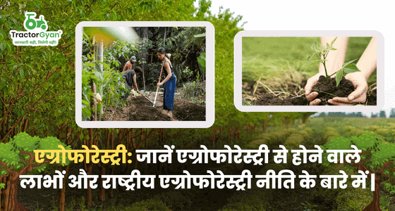 Agroforestry: Know about benefits from Agroforestry and National Agroforestry Policy. image