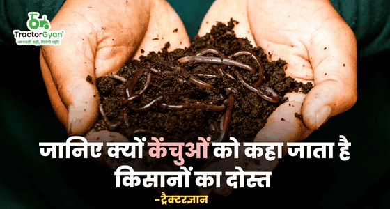 Know why earthworms are called farmers friends | Tractorgyan Know why earthworms are called farmers friends | Tractorgyan image