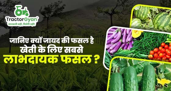 What makes Zaid Crop the most profitable season for Farming? image