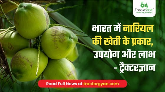 Coconut Farming: Varieties, Uses & Benefits of Coconut Farming in India | TractorGyan Coconut Farming: Varieties, Uses & Benefits of Coconut Farming in India | TractorGyan image