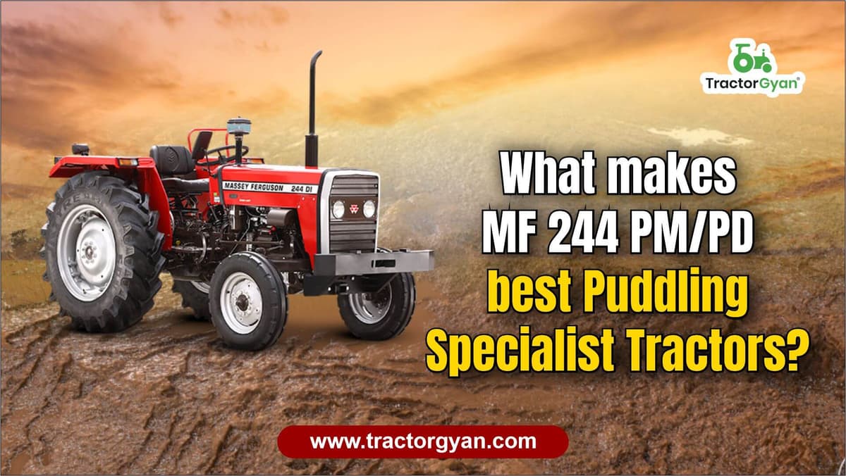 What makes MF 244 PM/PD the best puddling specialist tractors in India? image