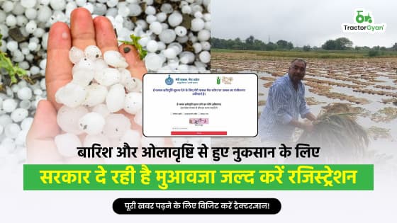 बारिश और ओलावृष्टि से हुए नुकसान के लिए सरकार दे रही है मुआवजा जल्द करें रजिस्ट्रेशन! बारिश और ओलावृष्टि से हुए नुकसान के लिए सरकार दे रही है मुआवजा जल्द करें रजिस्ट्रेशन! image