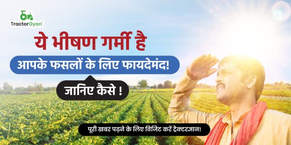 ये भीषण गर्मी है आपके फसलों के लिए फायदेमंद! जानिए कैसे ! ये भीषण गर्मी है आपके फसलों के लिए फायदेमंद! जानिए कैसे ! image