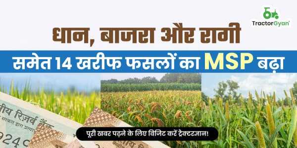 धान, बाजरा और रागी समेत 14 खरीफ फसलों का MSP बढ़ा धान, बाजरा और रागी समेत 14 खरीफ फसलों का MSP बढ़ा image