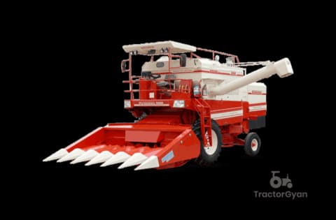 Dasmesh 9100 Maize image Dasmesh 9100 Maize image