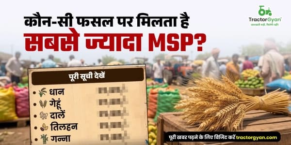 कौन-सी फसल पर मिलता है सबसे ज्यादा MSP? पूरी सूची देखें कौन-सी फसल पर मिलता है सबसे ज्यादा MSP? पूरी सूची देखें image