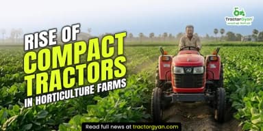 Rise of Compact Tractors in Horticulture Farms Rise of Compact Tractors in Horticulture Farms