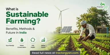 What is Sustainable Farming? Benefits, Methods & Future in India What is Sustainable Farming? Benefits, Methods & Future in India