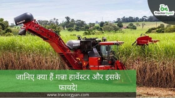 Everything You Need to Know About Sugarcane Harvester Everything You Need to Know About Sugarcane Harvester image