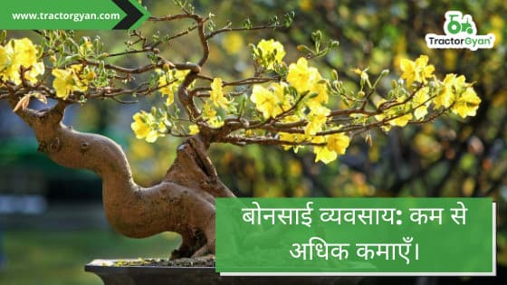 Bonsai Business: Earn More From Less Bonsai Business: Earn More From Less image