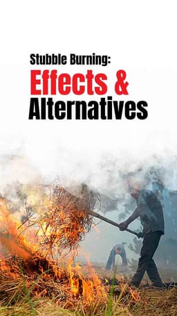 Stubble Burning: Effects & Alternatives | Tractorgyan Stubble Burning: Effects & Alternatives | Tractorgyan