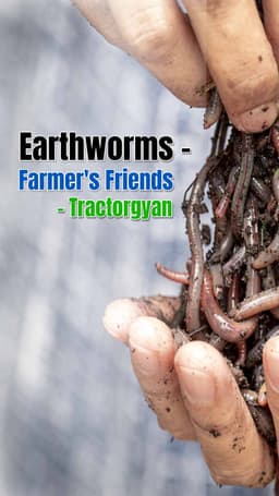 Earthworms - Farmer's Friends | Tractorgyan Earthworms - Farmer's Friends | Tractorgyan
